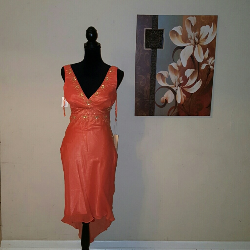 100%  Silk Dress