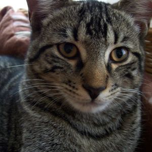 Meet your Posher, Teri