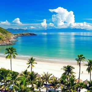 Meet your Posher, Bridget