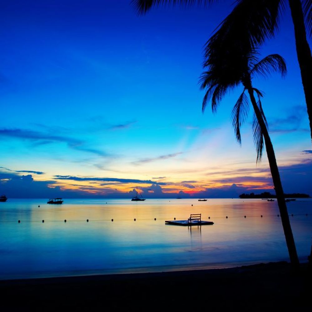 Meet your Posher, Kiara