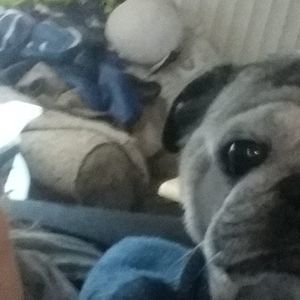 Meet your Posher, Shawn