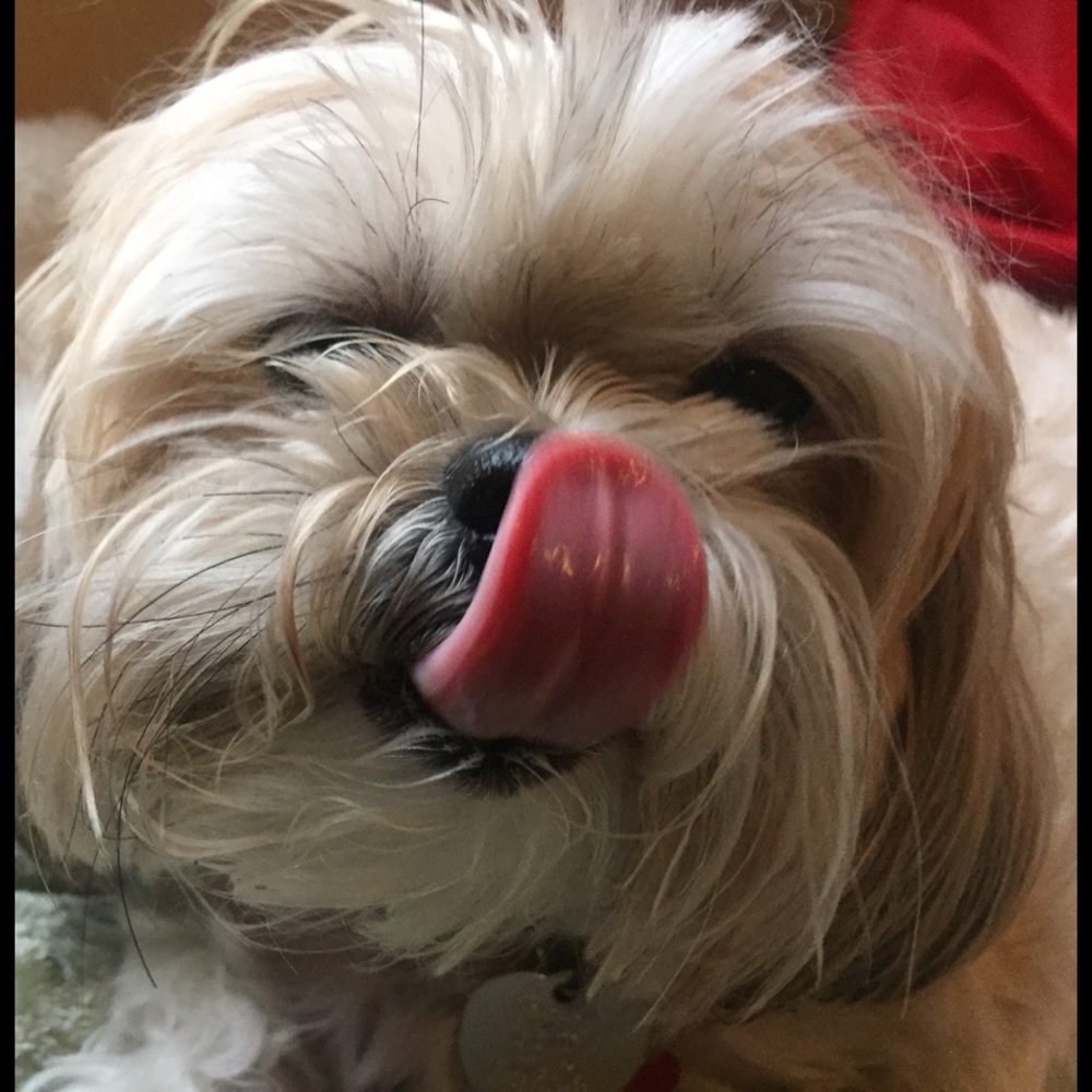 Meet your Posher, Lexi