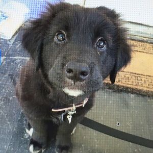 Meet your Posher, Nancy