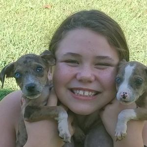 Meet your Posher, Minnie