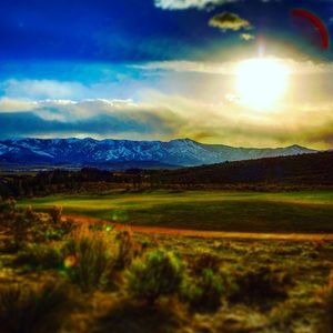 Meet your Posher, Eddie