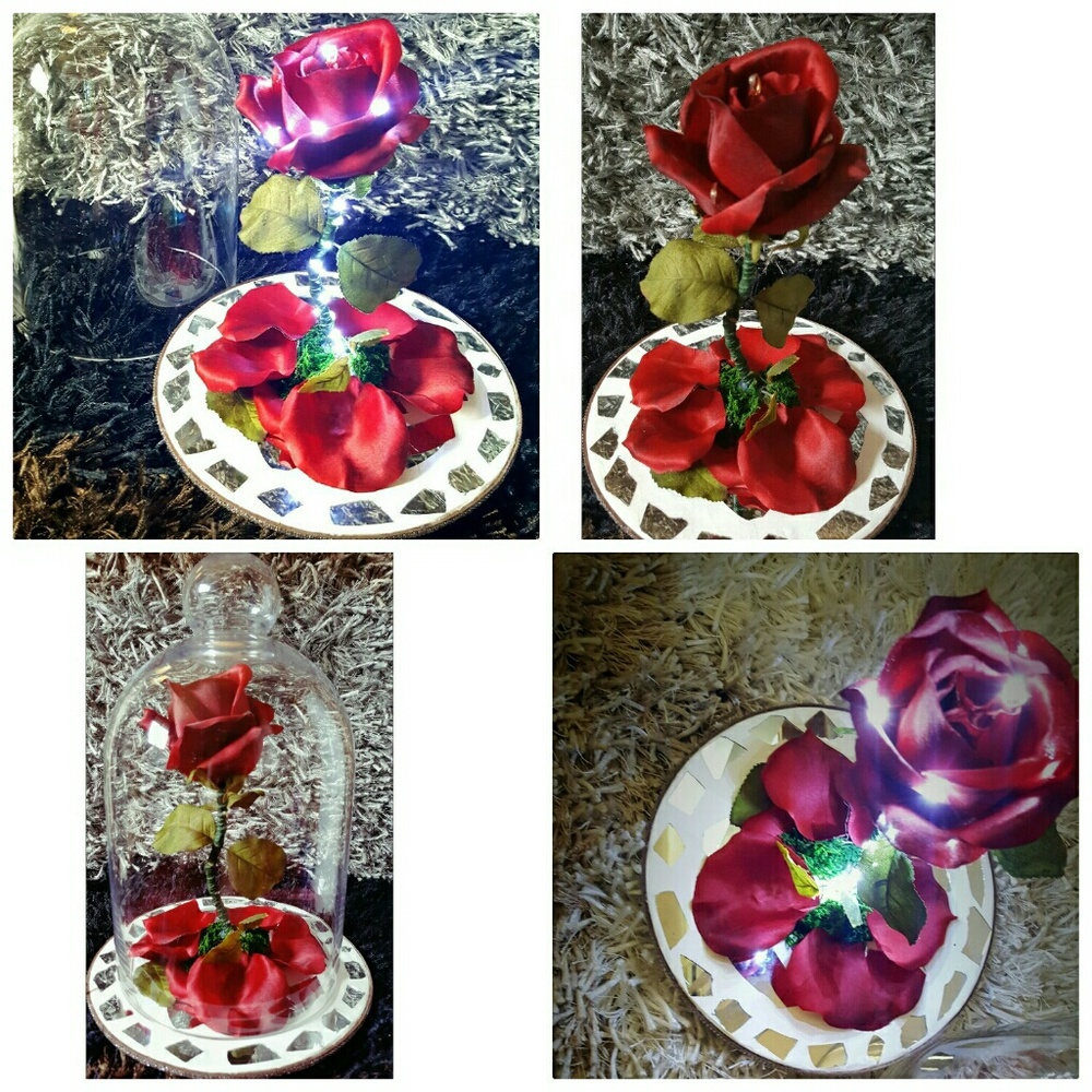 enchanted rose from beauty and the beast