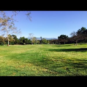 Meet your Posher, Roberto