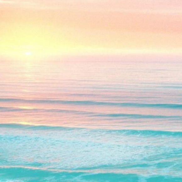 Meet your Posher, Katey - Picture 1 of 1