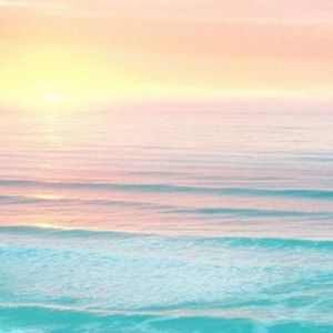 Meet your Posher, Katey