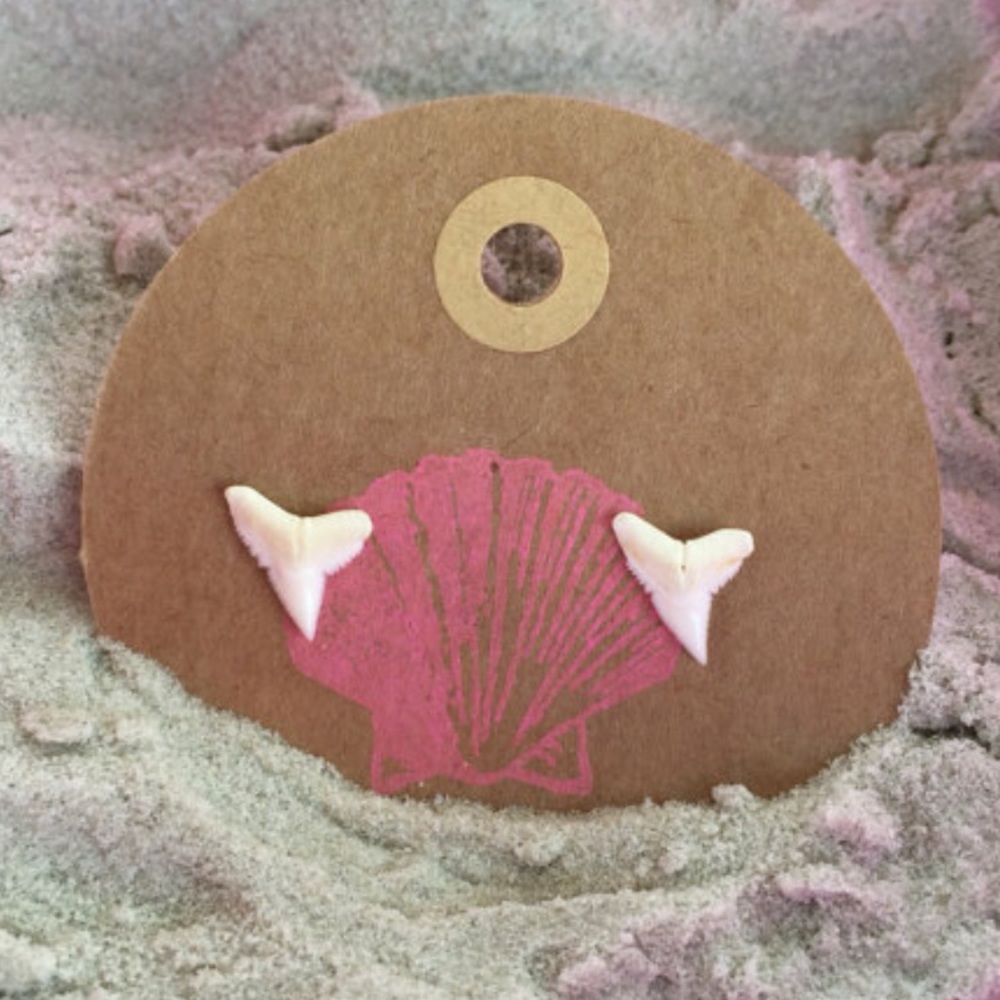 Shark tooth studs
