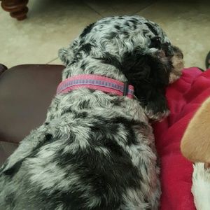 Meet your Posher, Jen