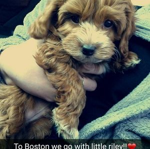 Meet your Posher, Kelsey