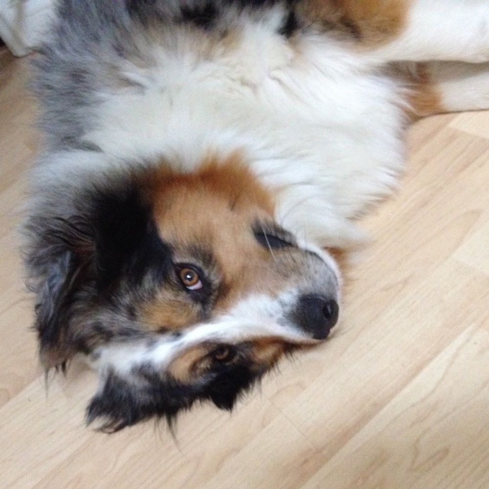 Meet your Posher, Jojo