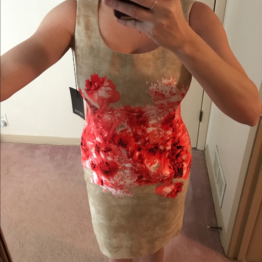 Classy GardenParty Dress
