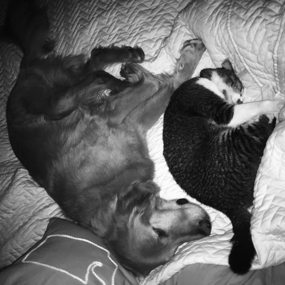 Meet your Posher, Amber