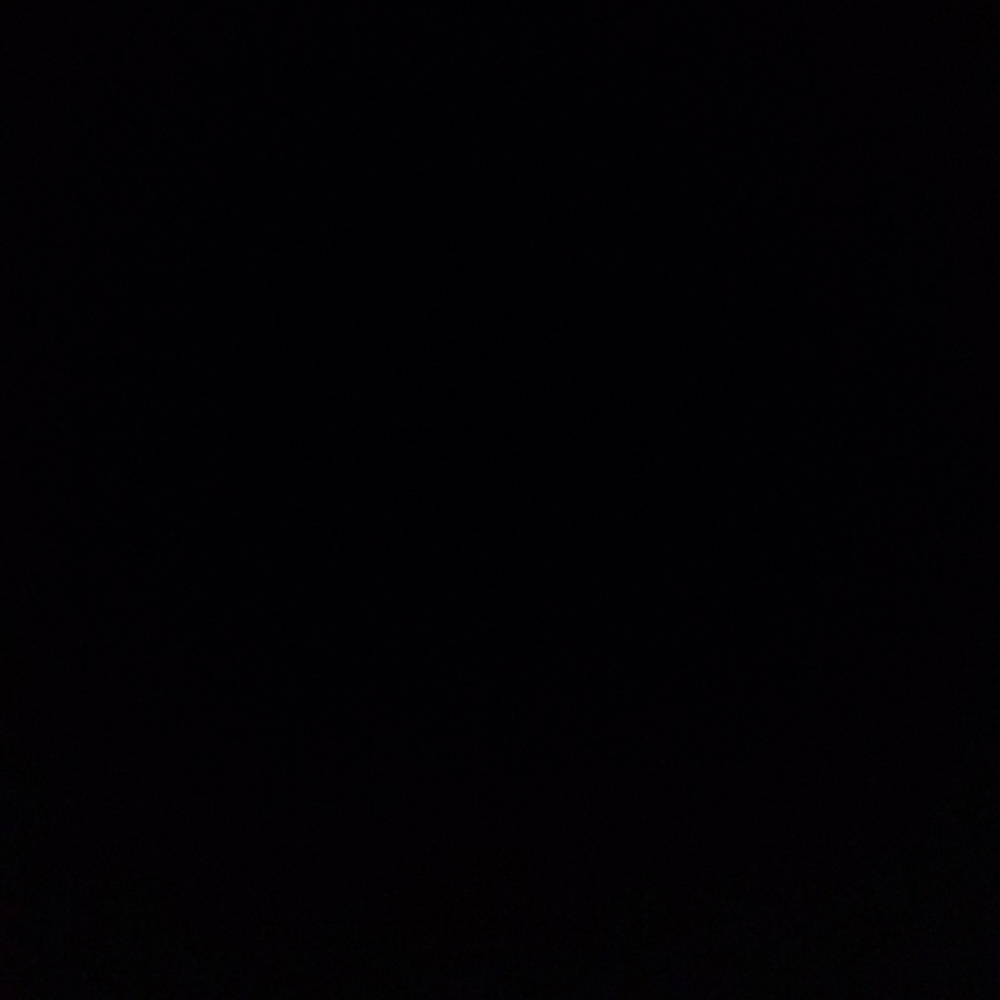 Meet your Posher, Shari