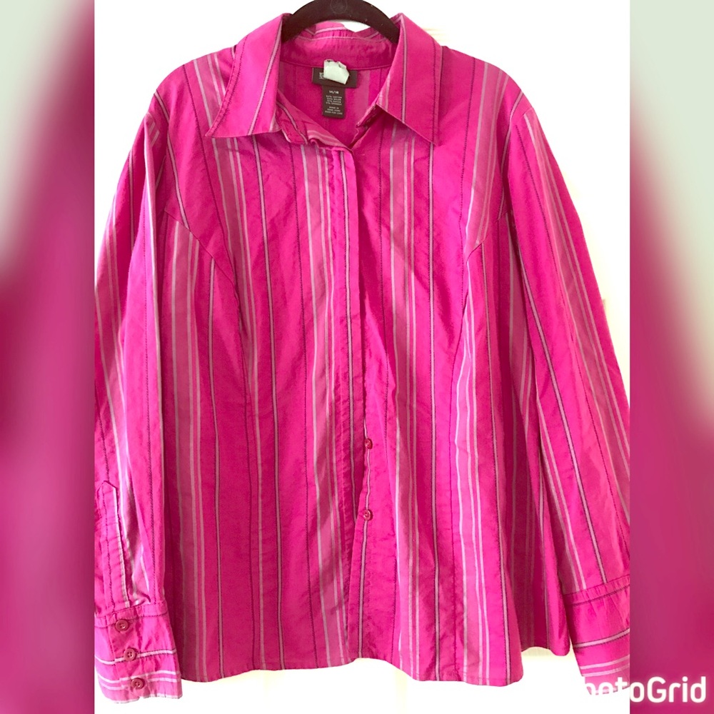Button down Dress shirt