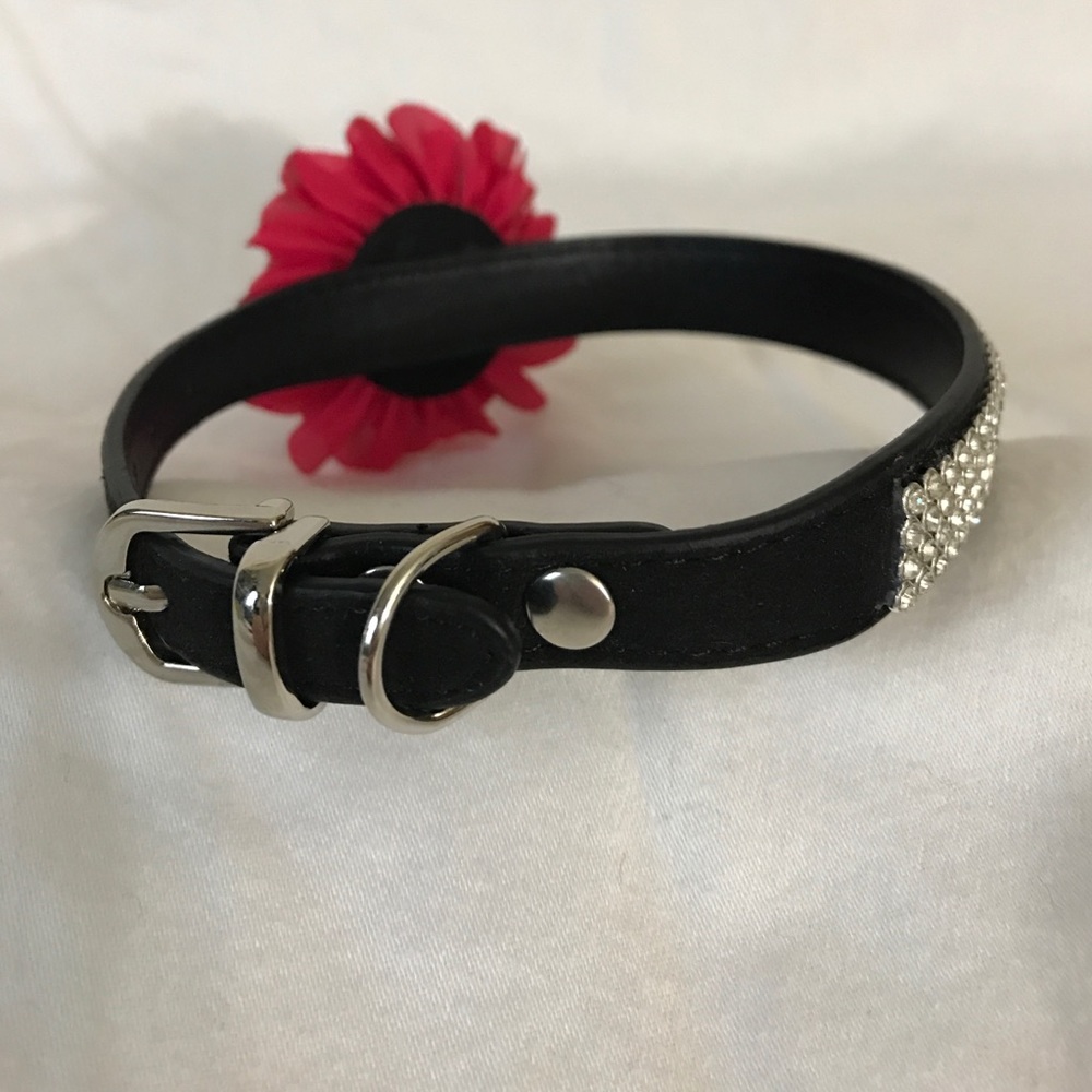 Adorable collar - Picture 3 of 8