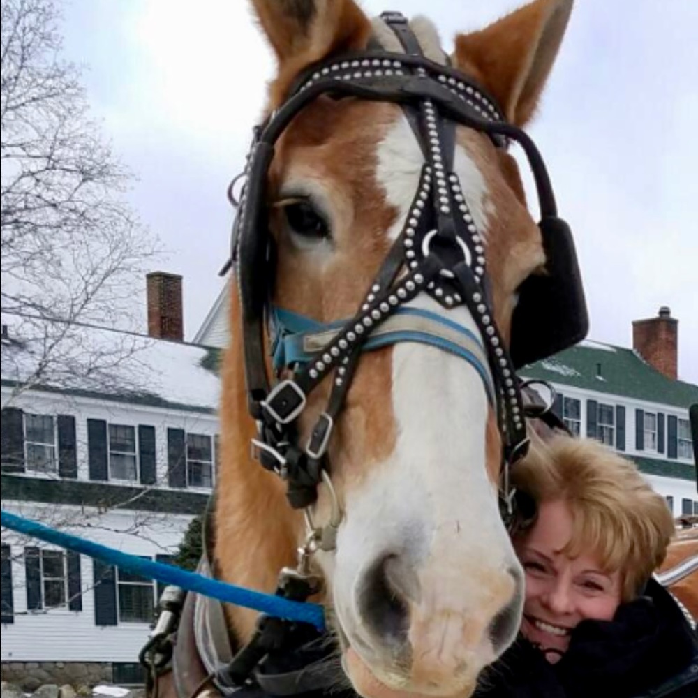 Meet your Posher, Maryanne