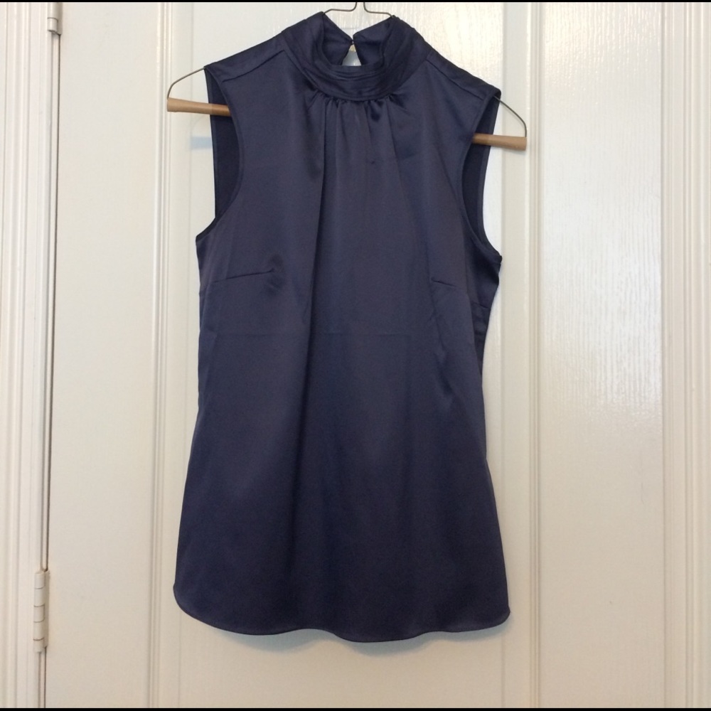 The Limited eggplant top