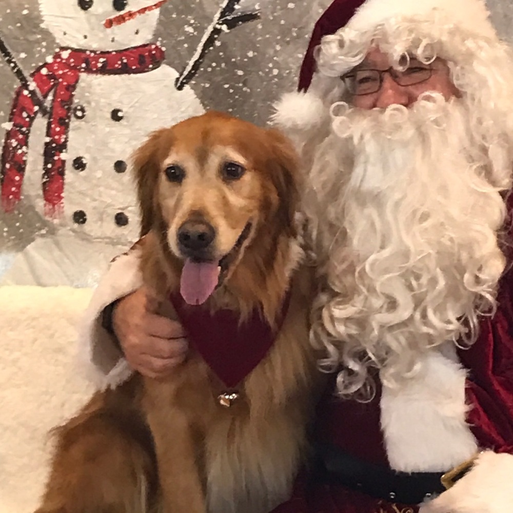 Meet your Posher, Ashleigh