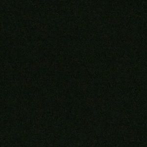 Meet your Posher, Kenny