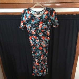Isabella Oliver Maternity Dress