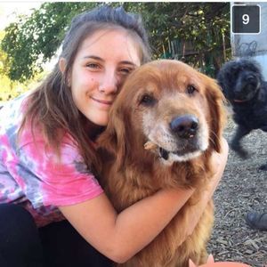 Meet your Posher, Bailey