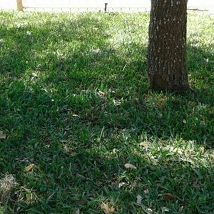 Meet your Posher, Dulce