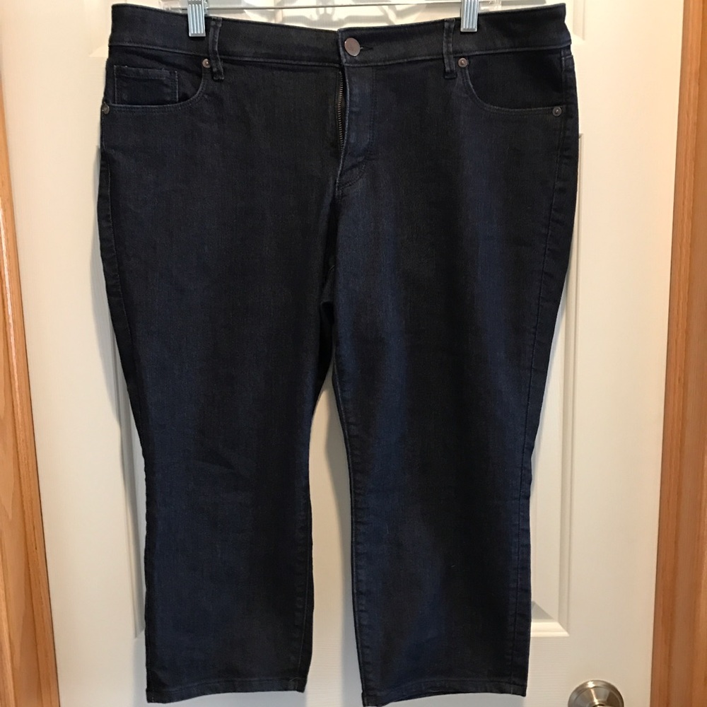 Ann Taylor Loft Modern Crop Dark Jeans Petite