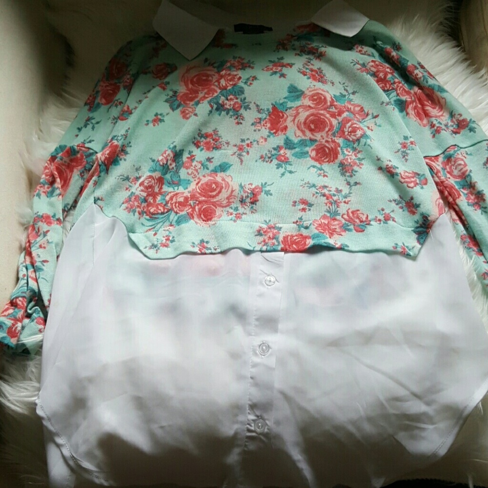 Deb Sweater with collar /shirt hem inserts. Hi-Lo