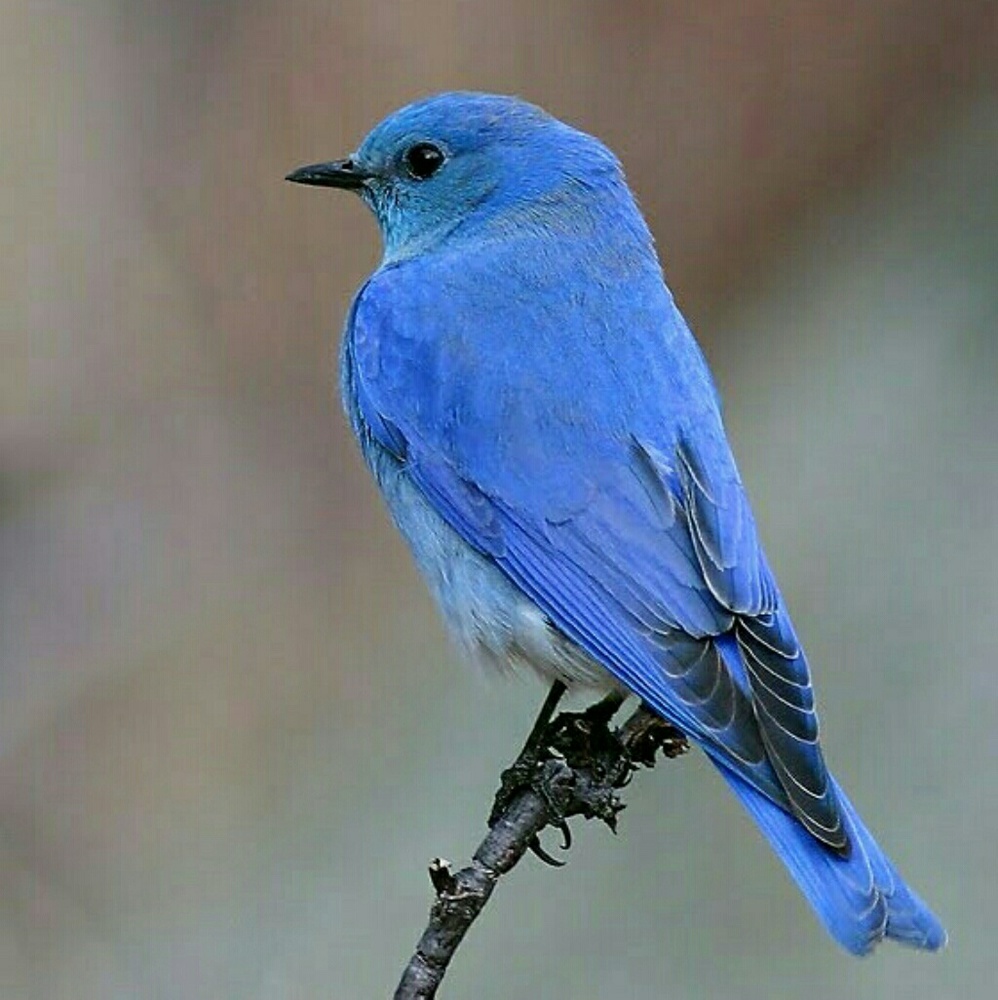 ♥️♥️♥️BUNDLE AND SAVE🌹😊