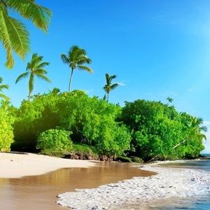 Meet your Posher, Grady