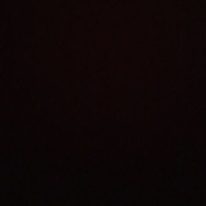 Meet your Posher, Tessa