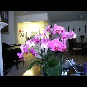 Meet your Posher, Brenda