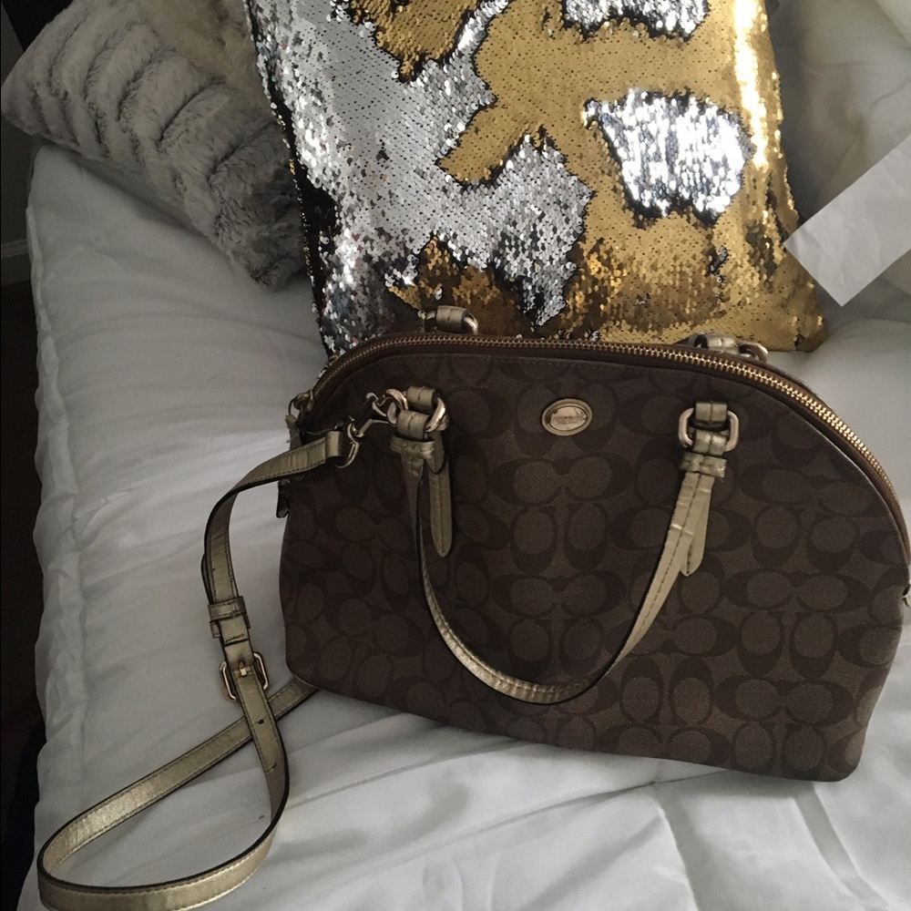 Coach hobo pocketbook