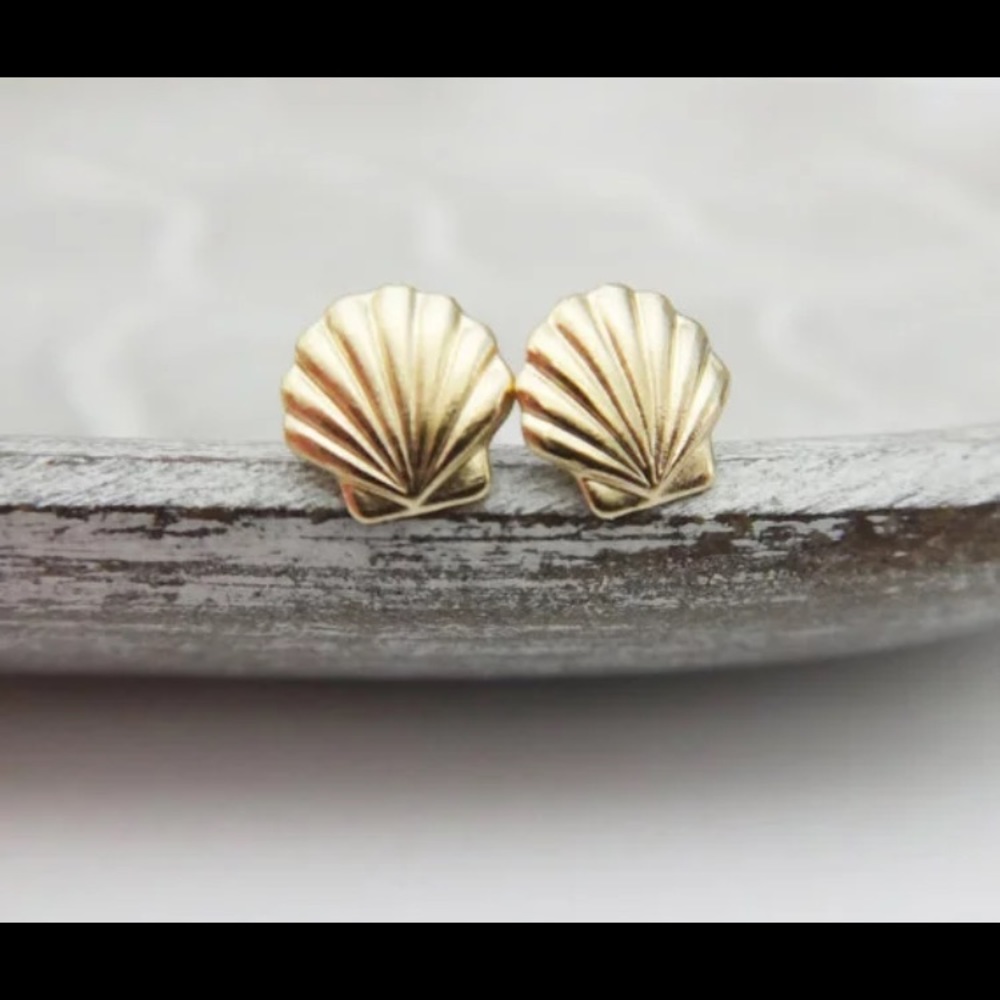 Seashell Earrings