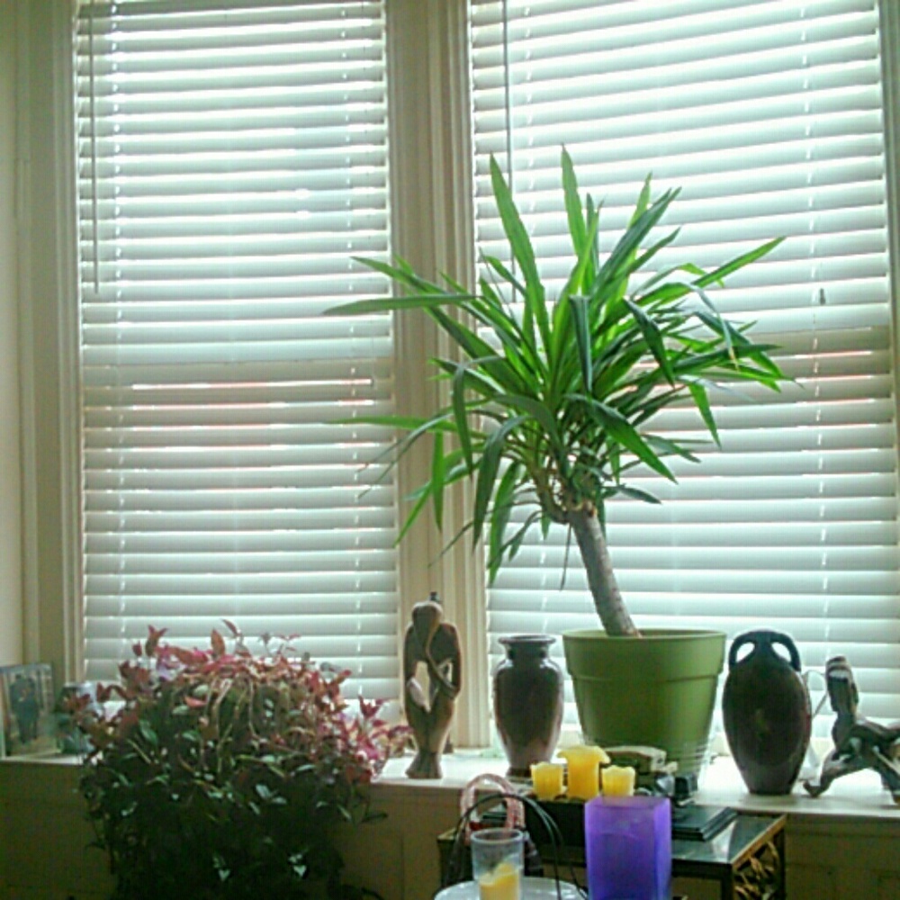 Meet your Posher, Sheila