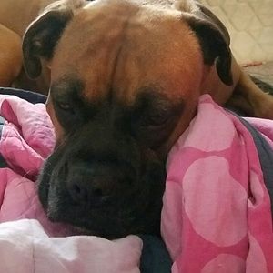 Meet your Posher, Lorena