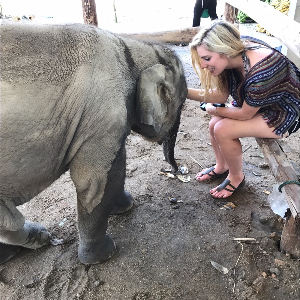 Meet your Posher, Morgan