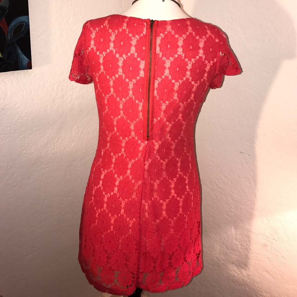 Lace Mini Dress - Picture 2 of 2
