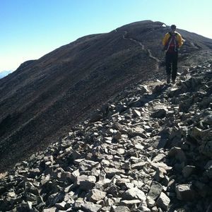 Meet your Posher, Brendan