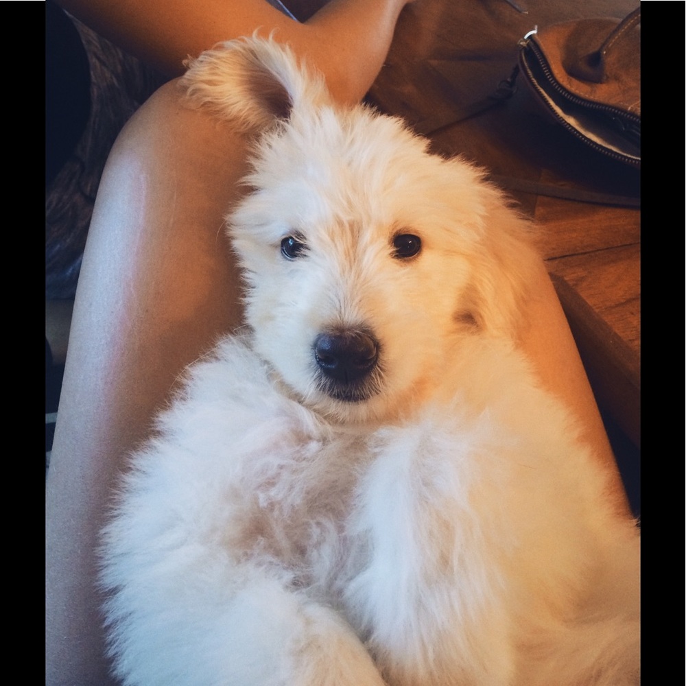 Meet your Posher, Madison