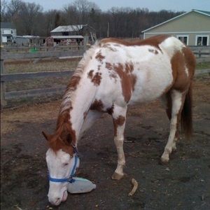 Meet your Posher, Tina