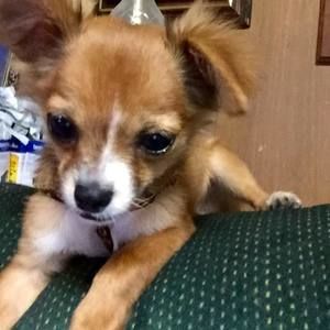 Meet your Posher, Patricia