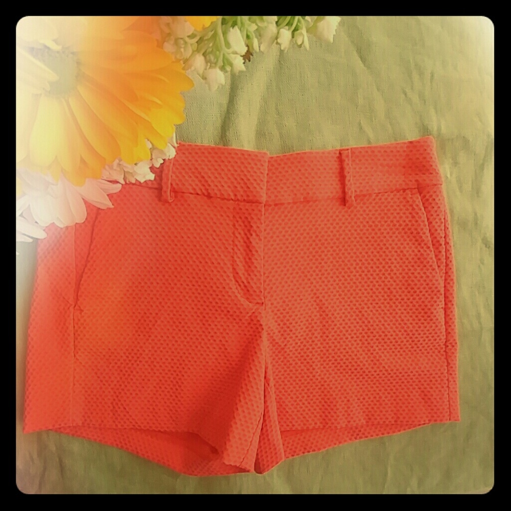 GATOR ORANGE ANN TAYLOR SHORTS