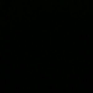 Meet your Posher, Lorraine