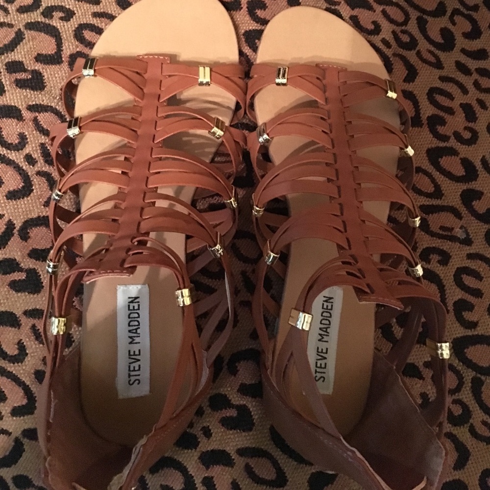 Steve Madden gladiator sandals