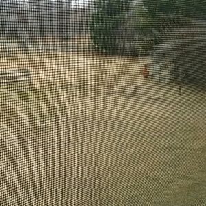 Meet your Posher, Kay