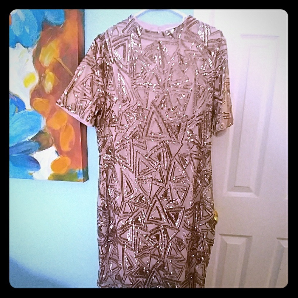 Forever 21 + Plus Size Dusty Rose Party Dress